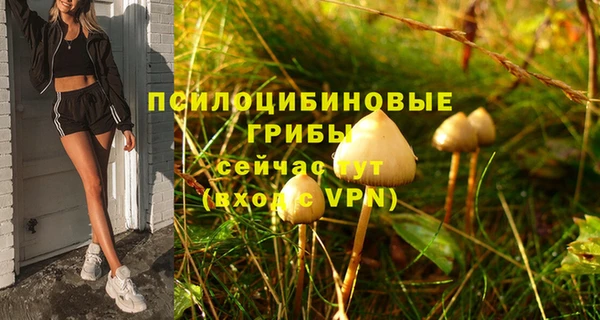 PSILOCYBIN Аркадак