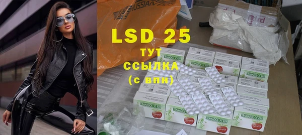 PSILOCYBIN Аркадак