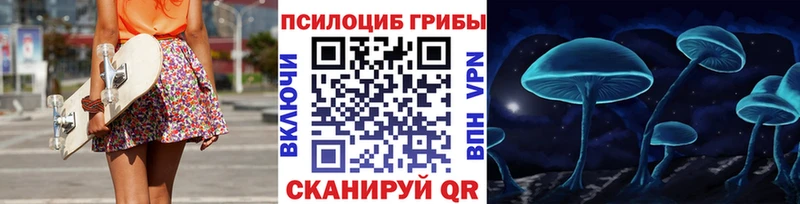 Галлюциногенные грибы Psilocybe Северобайкальск