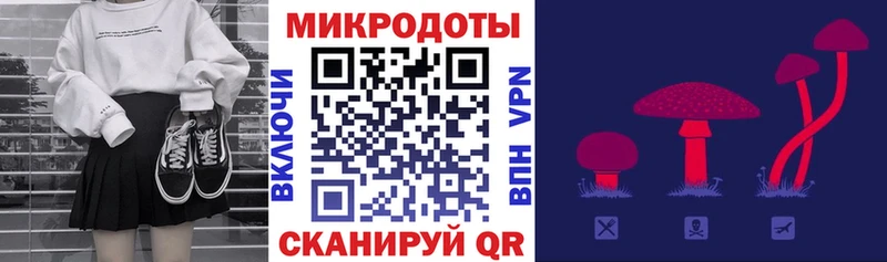 Галлюциногенные грибы Psilocybine cubensis  гидра   Северобайкальск 